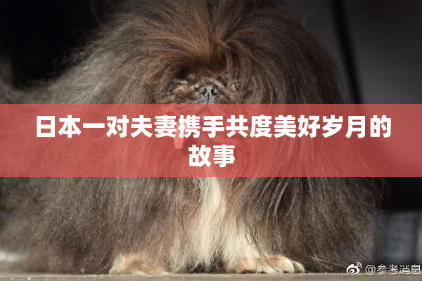 日本一对夫妻携手共度美好岁月的故事