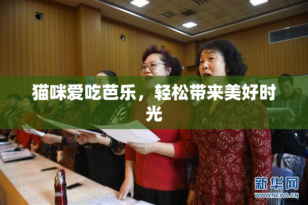 猫咪爱吃芭乐，轻松带来美好时光