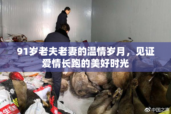 91岁老夫老妻的温情岁月，见证爱情长跑的美好时光