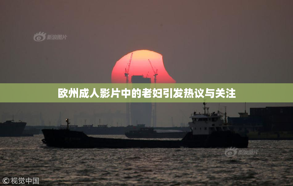 欧州成人影片中的老妇引发热议与关注