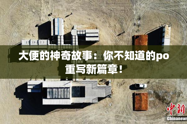 大便的神奇故事：你不知道的po重写新篇章！