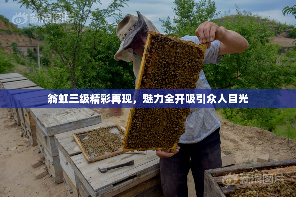 翁虹三级精彩再现，魅力全开吸引众人目光