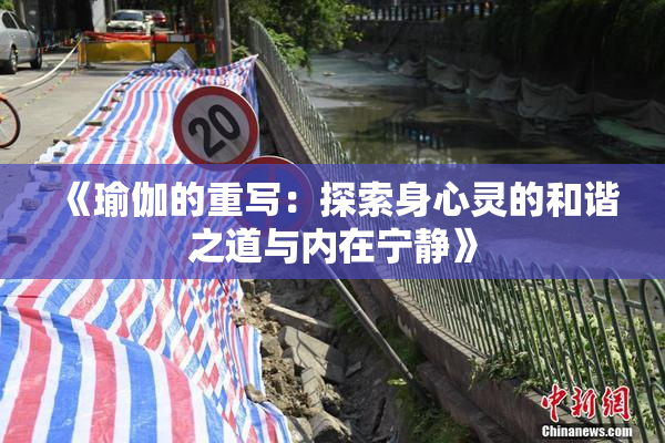 《瑜伽的重写：探索身心灵的和谐之道与内在宁静》