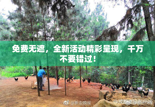 免费无遮，全新活动精彩呈现，千万不要错过！