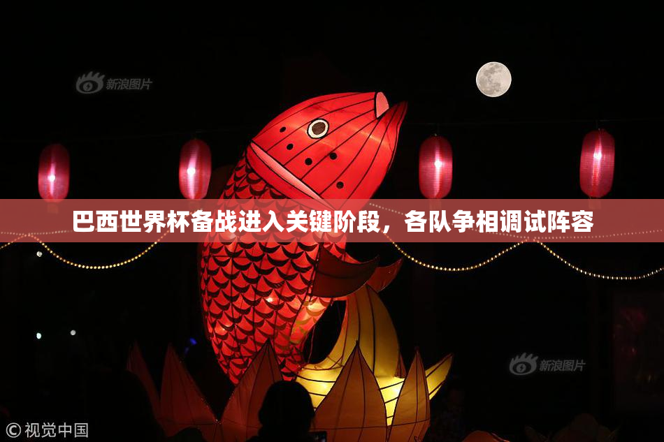 巴西世界杯备战进入关键阶段，各队争相调试阵容