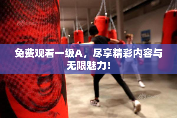 免费观看一级A，尽享精彩内容与无限魅力！