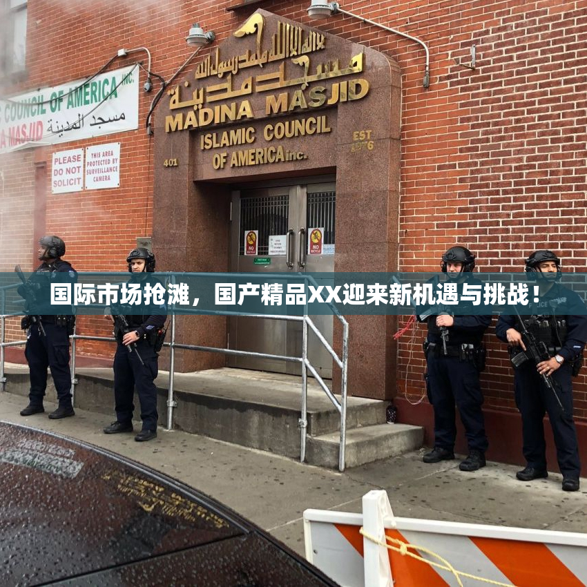 国际市场抢滩，国产精品XX迎来新机遇与挑战！