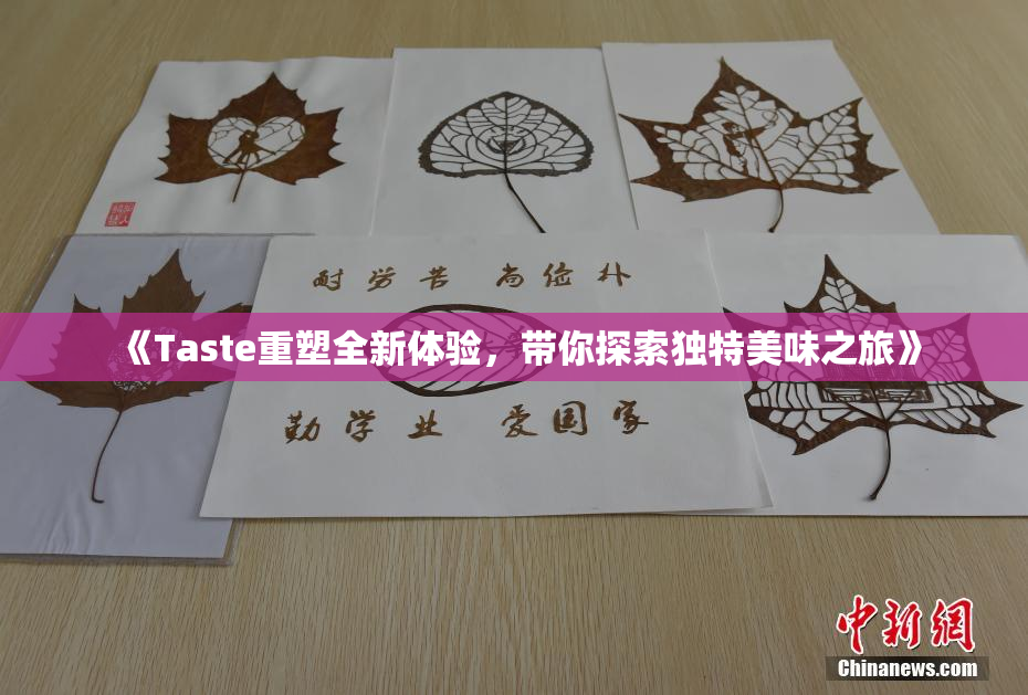 《Taste重塑全新体验，带你探索独特美味之旅》