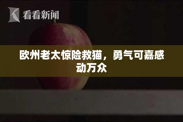 欧州老太惊险救猫，勇气可嘉感动万众