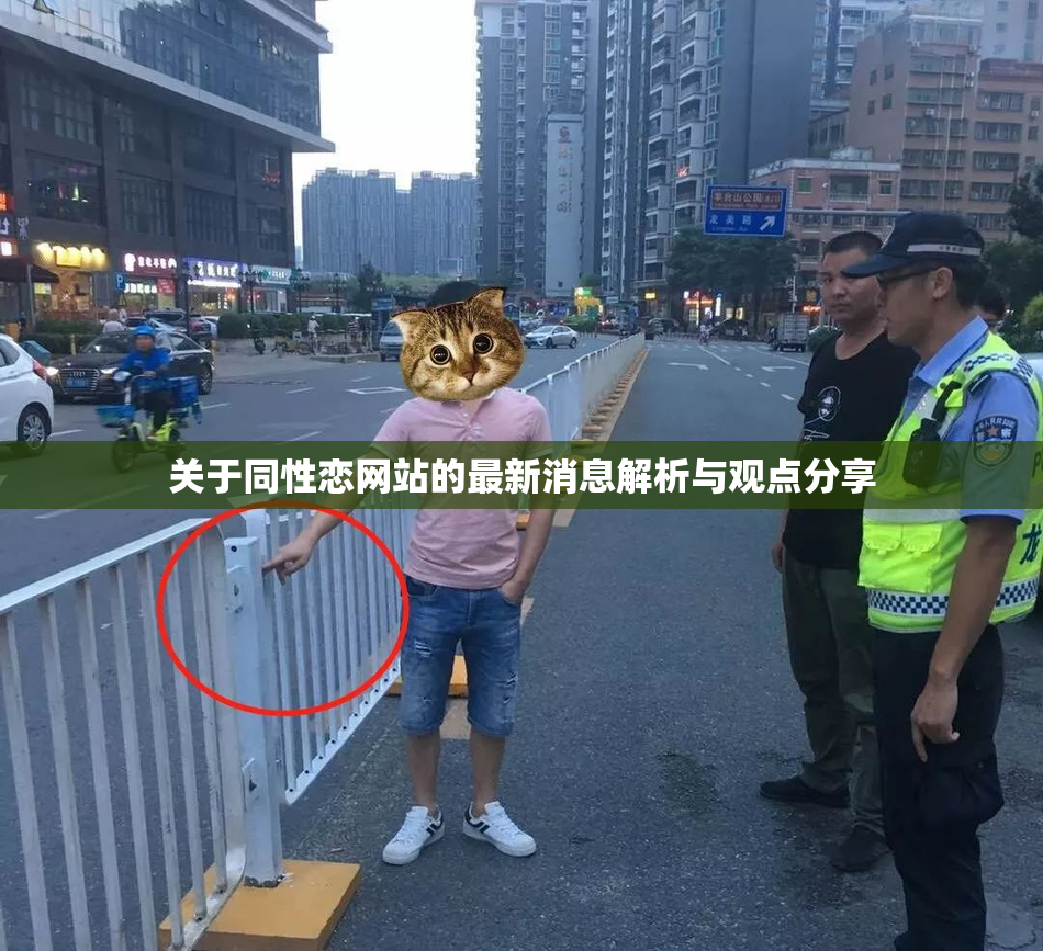 关于同性恋网站的最新消息解析与观点分享