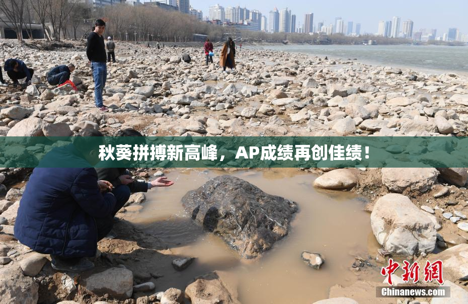 秋葵拼搏新高峰，AP成绩再创佳绩！