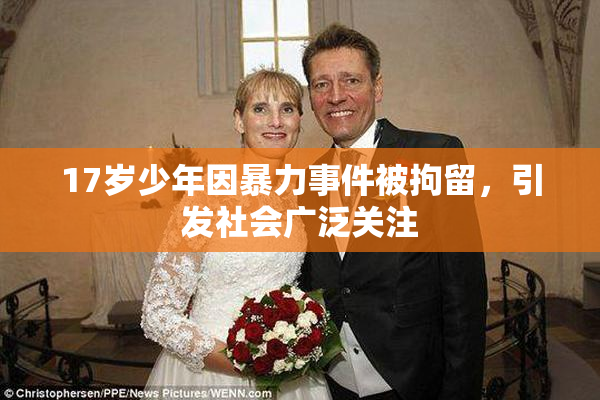 17岁少年因暴力事件被拘留，引发社会广泛关注