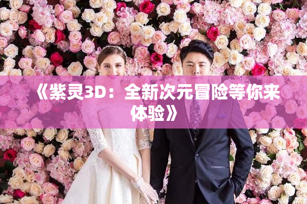 《紫灵3D：全新次元冒险等你来体验》