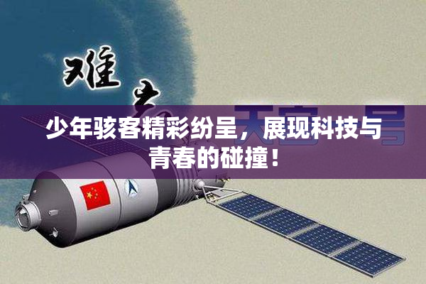 少年骇客精彩纷呈，展现科技与青春的碰撞！