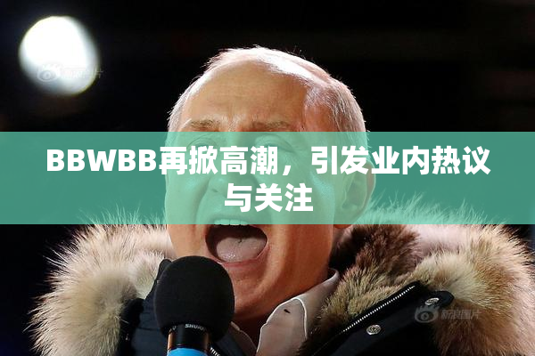 BBWBB再掀高潮，引发业内热议与关注