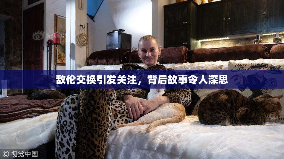 敌伦交换引发关注，背后故事令人深思