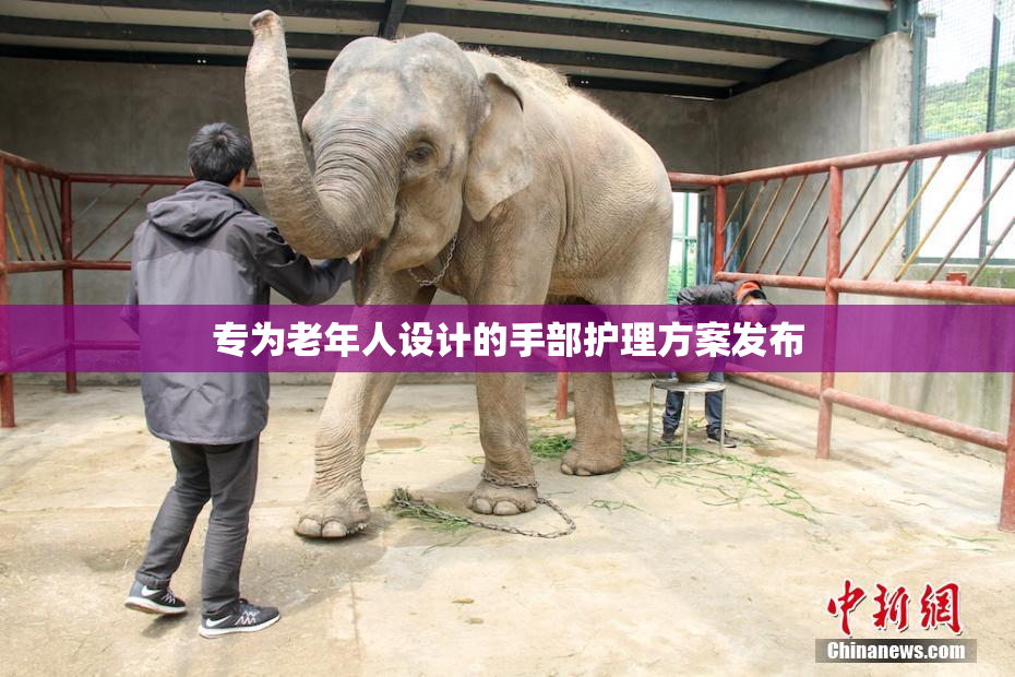 专为老年人设计的手部护理方案发布