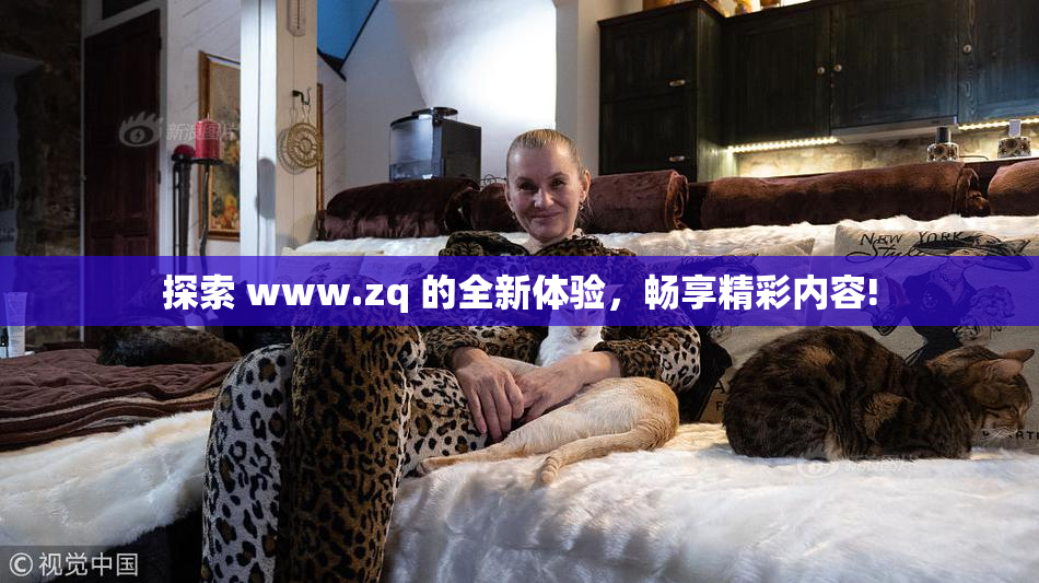 探索 www.zq 的全新体验，畅享精彩内容!