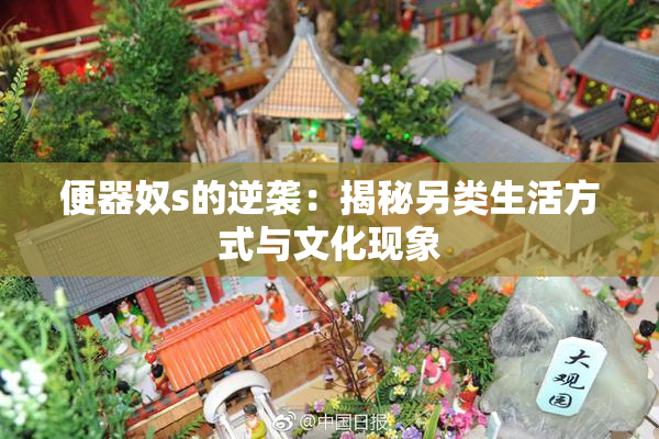 便器奴s的逆袭：揭秘另类生活方式与文化现象