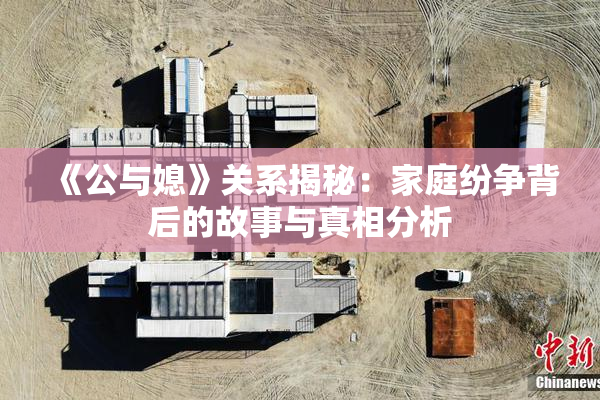 《公与媳》关系揭秘：家庭纷争背后的故事与真相分析