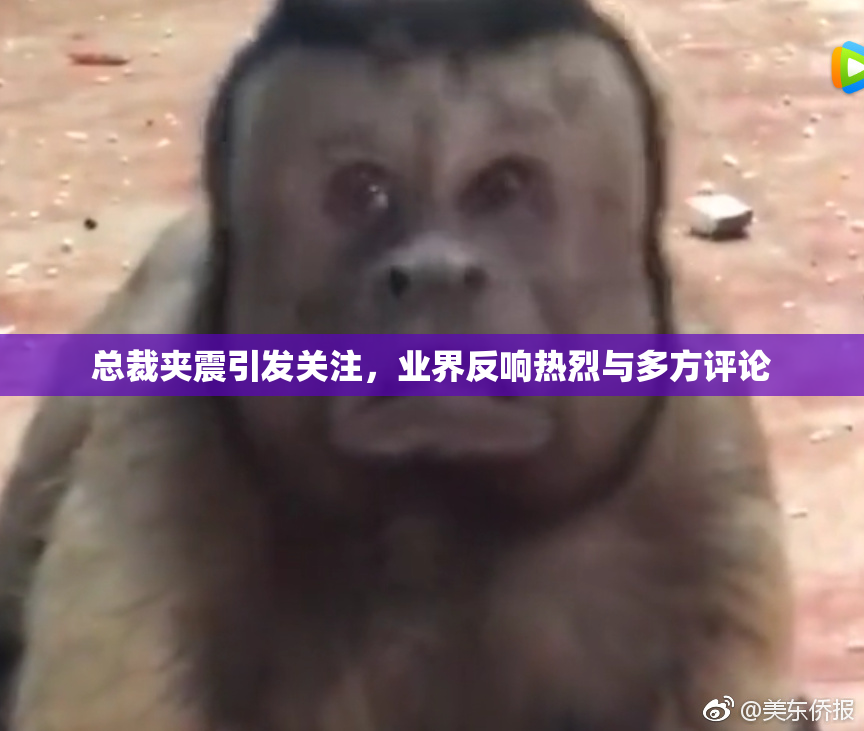 总裁夹震引发关注，业界反响热烈与多方评论