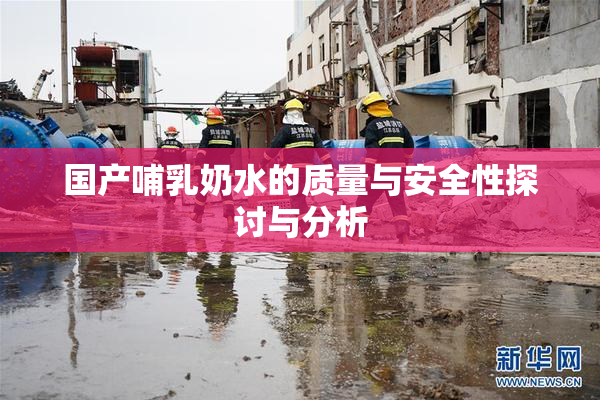 国产哺乳奶水的质量与安全性探讨与分析