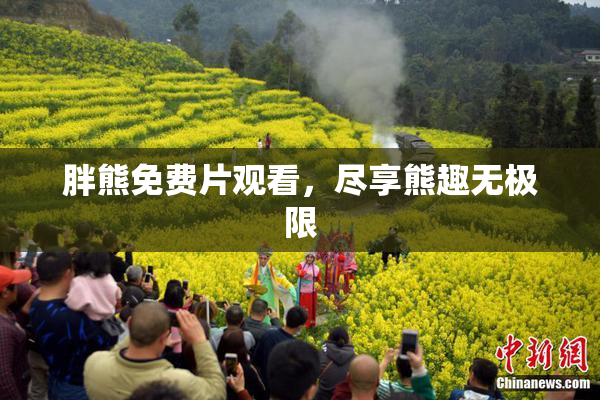 胖熊免费片观看，尽享熊趣无极限