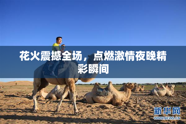 花火震撼全场，点燃激情夜晚精彩瞬间