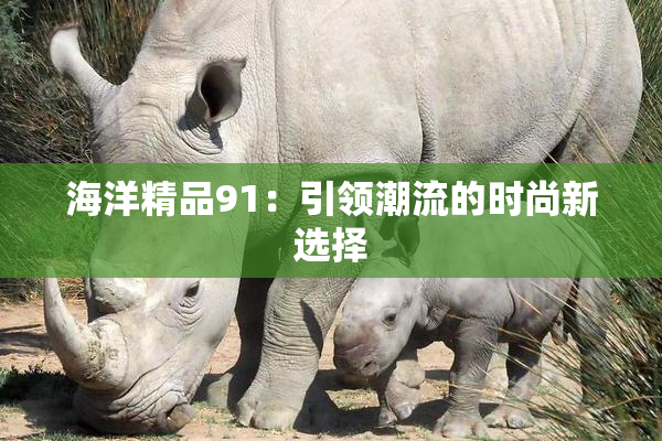 海洋精品91：引领潮流的时尚新选择