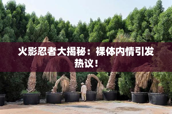 火影忍者大揭秘：裸体内情引发热议！