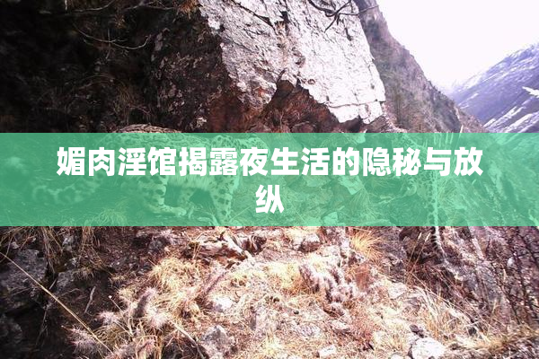 媚肉淫馆揭露夜生活的隐秘与放纵