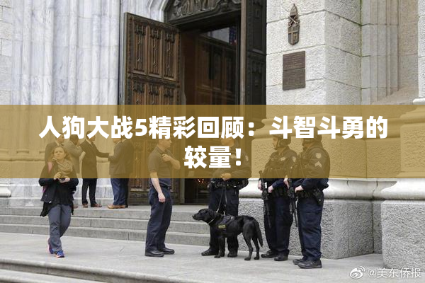 人狗大战5精彩回顾：斗智斗勇的较量！