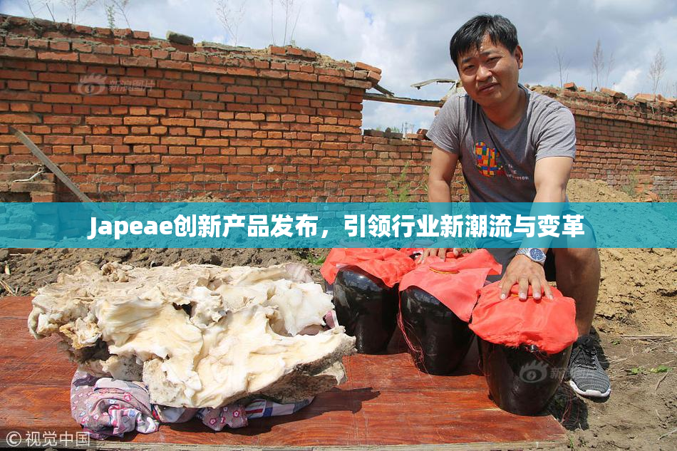 Japeae创新产品发布，引领行业新潮流与变革