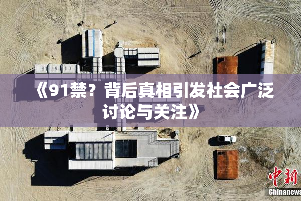 《91禁？背后真相引发社会广泛讨论与关注》