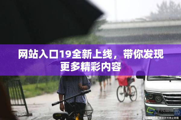 网站入口19全新上线，带你发现更多精彩内容