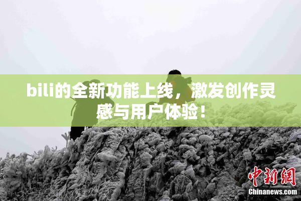 bili的全新功能上线，激发创作灵感与用户体验！