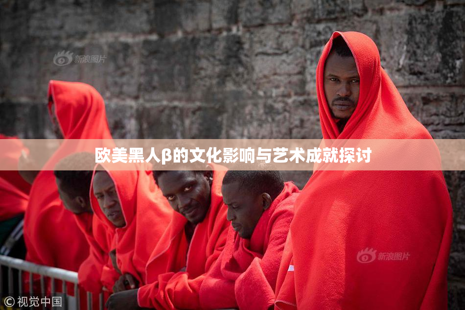 欧美黑人β的文化影响与艺术成就探讨