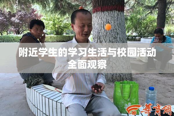 附近学生的学习生活与校园活动全面观察