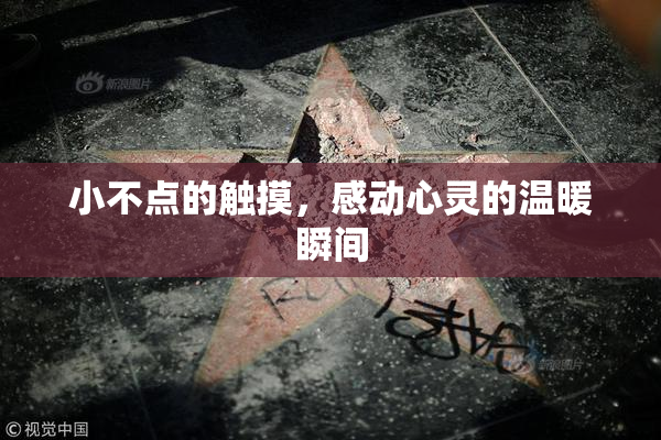 小不点的触摸，感动心灵的温暖瞬间