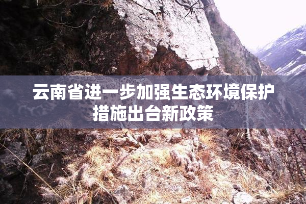 云南省进一步加强生态环境保护措施出台新政策
