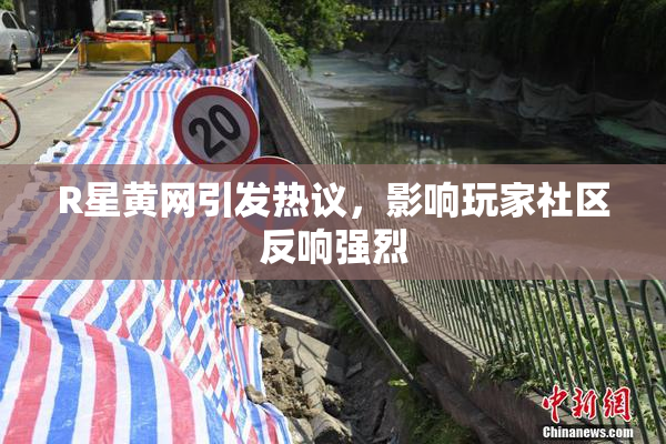 R星黄网引发热议，影响玩家社区反响强烈