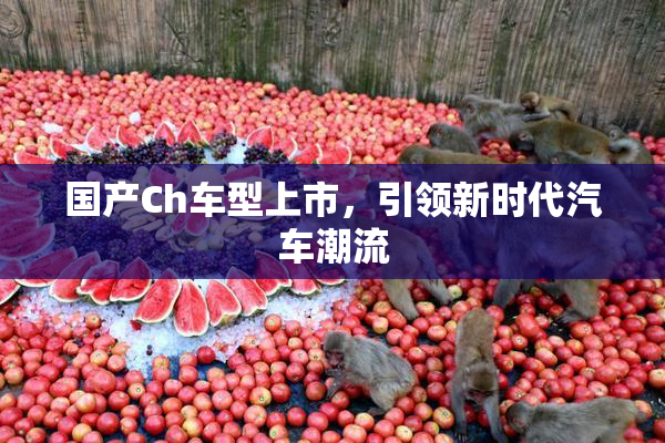 国产Ch车型上市，引领新时代汽车潮流