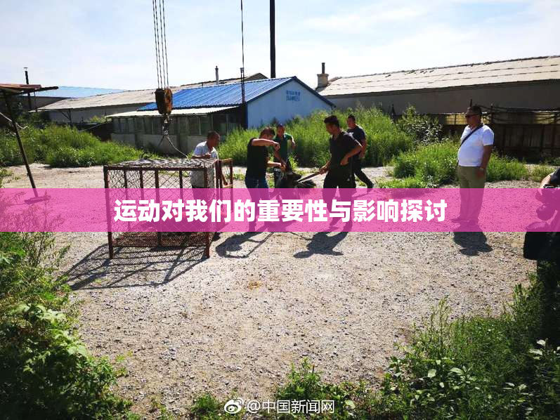 运动对我们的重要性与影响探讨