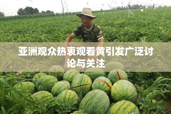 亚洲观众热衷观看黄引发广泛讨论与关注