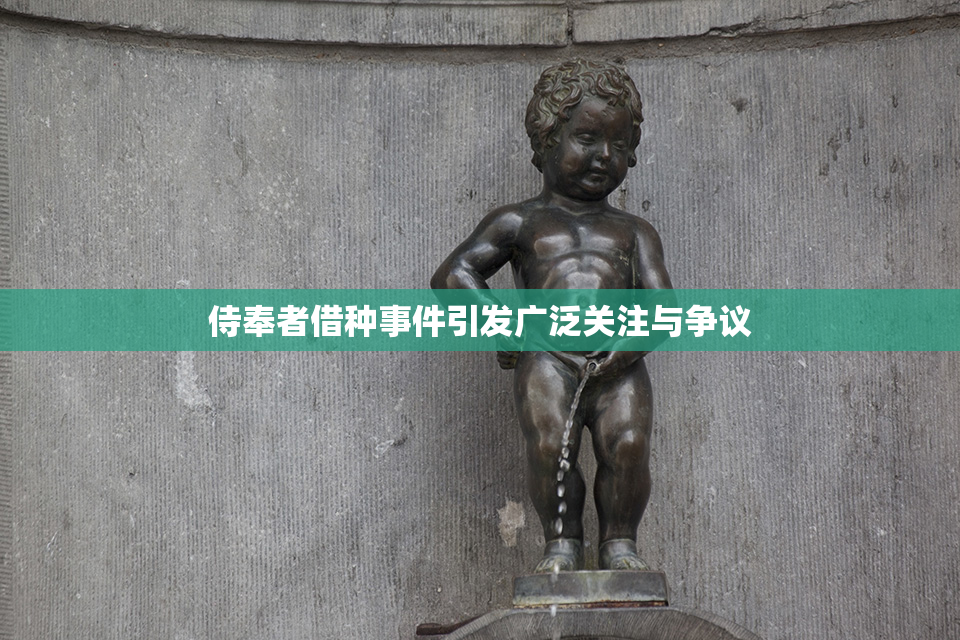 侍奉者借种事件引发广泛关注与争议
