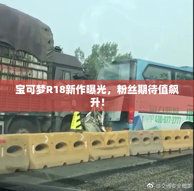 宝可梦R18新作曝光，粉丝期待值飙升！