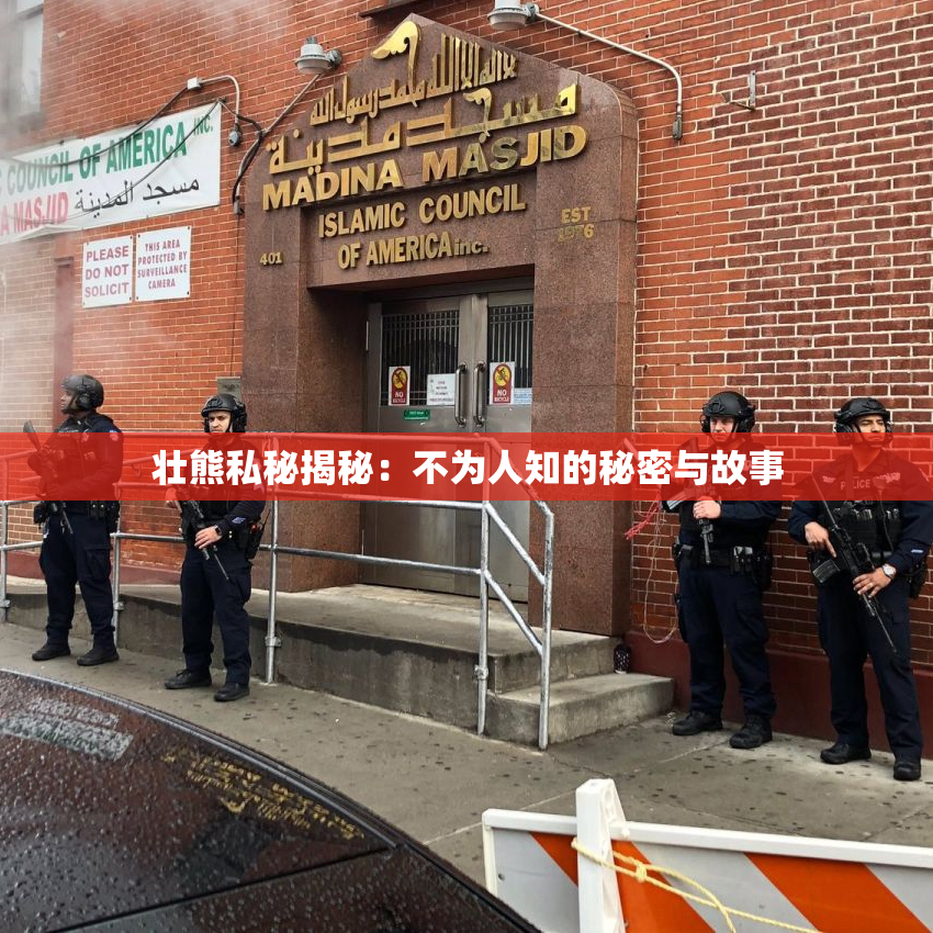 壮熊私秘揭秘：不为人知的秘密与故事