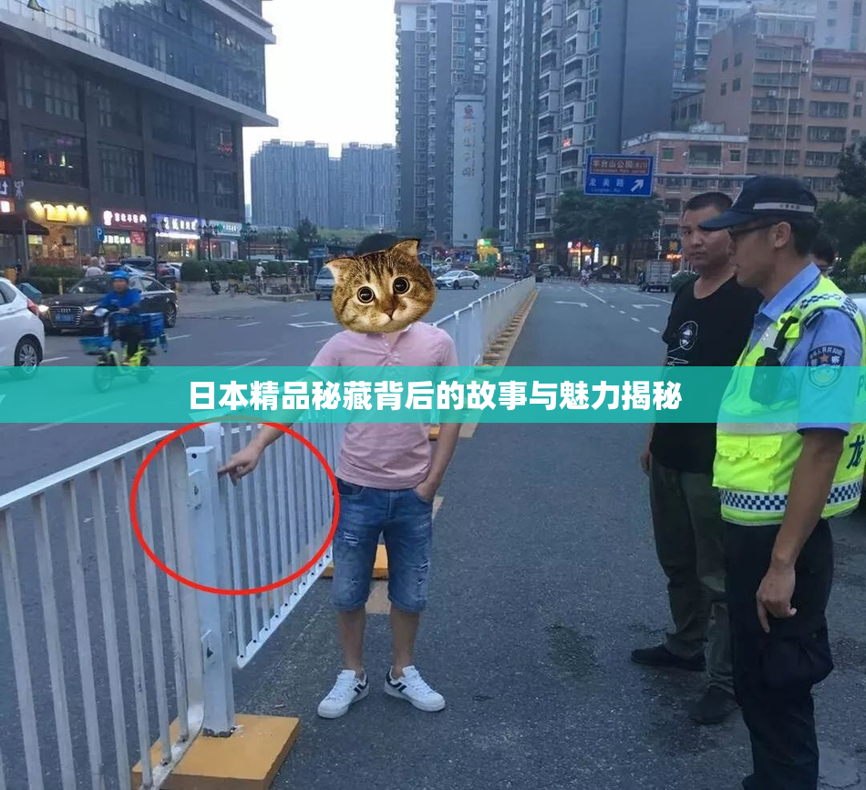 日本精品秘藏背后的故事与魅力揭秘