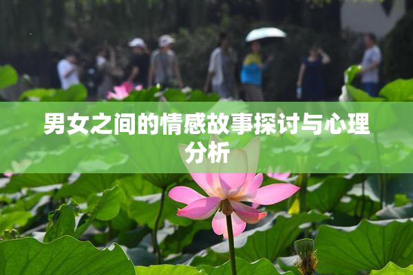 男女之间的情感故事探讨与心理分析