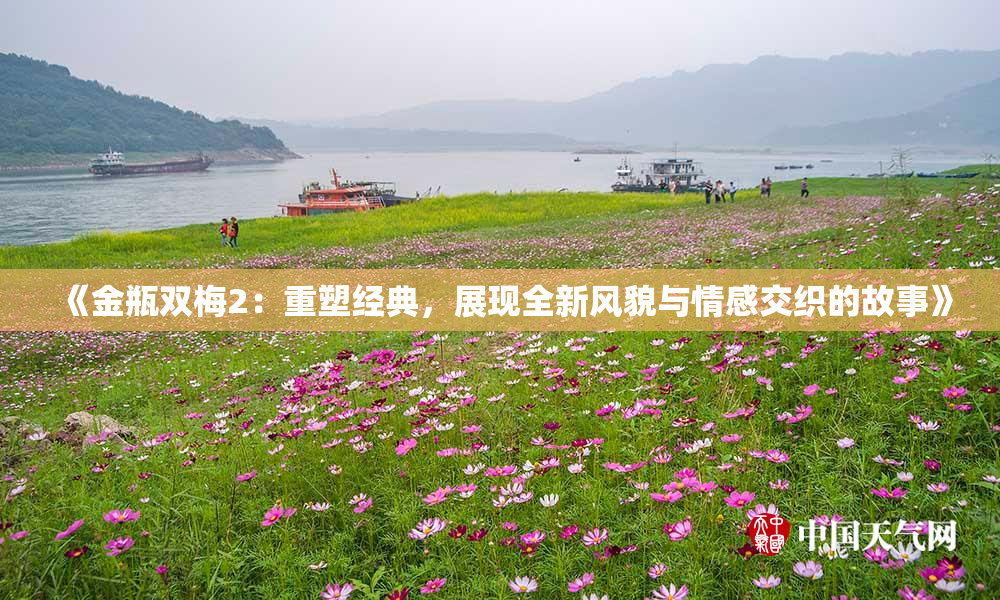 《金瓶双梅2：重塑经典，展现全新风貌与情感交织的故事》